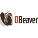 CloudBeaver Enterprise for one year