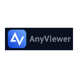 Anyviewer Professional ( 3 Year 1 User )