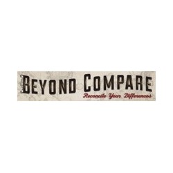 Beyond Compare 5 Standard Edition, per user (50-99)